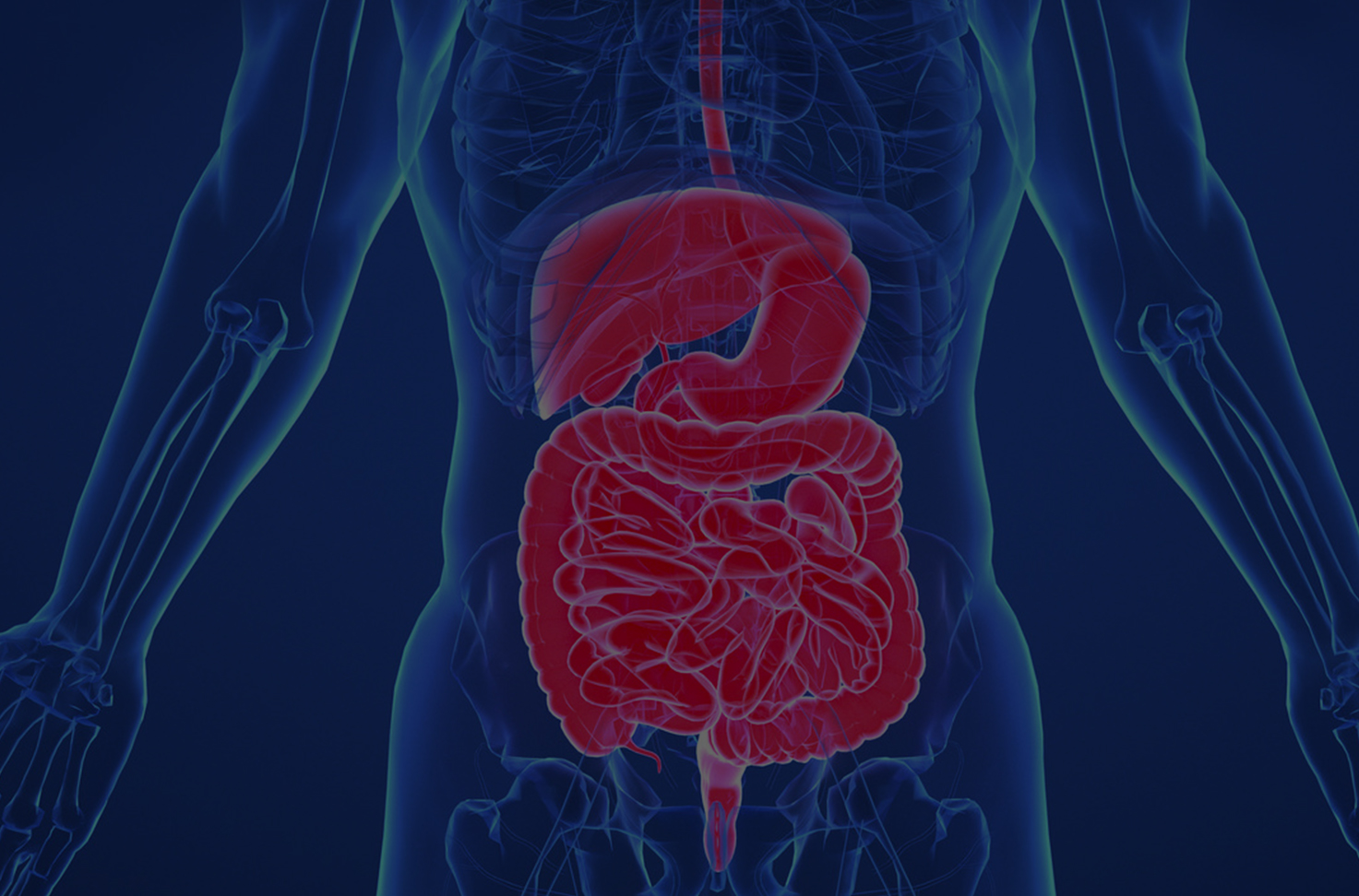 腫瘤治療與康復(fù)